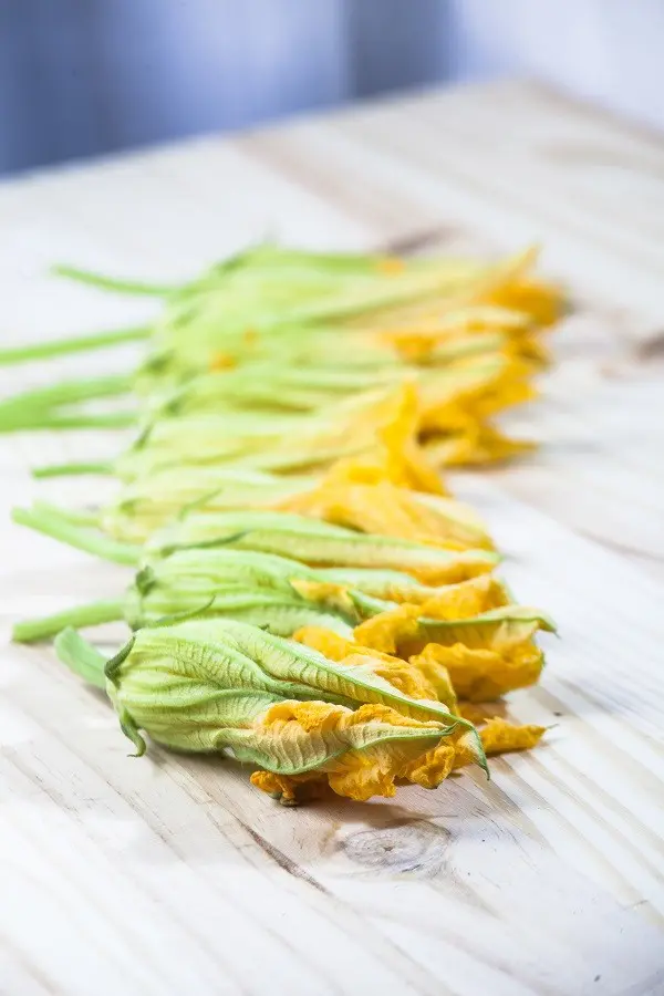 courgettebloemen