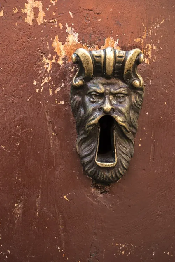 Door leaf in the form of face screaming