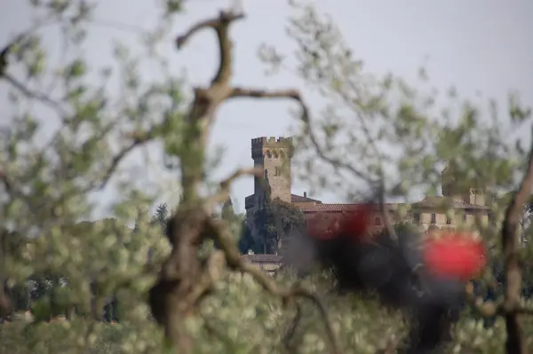 fietsen-Toscane-kastelen-audio-guide-Toscana-by-Bike (11)