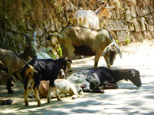 geiten-Garfagnana (3)