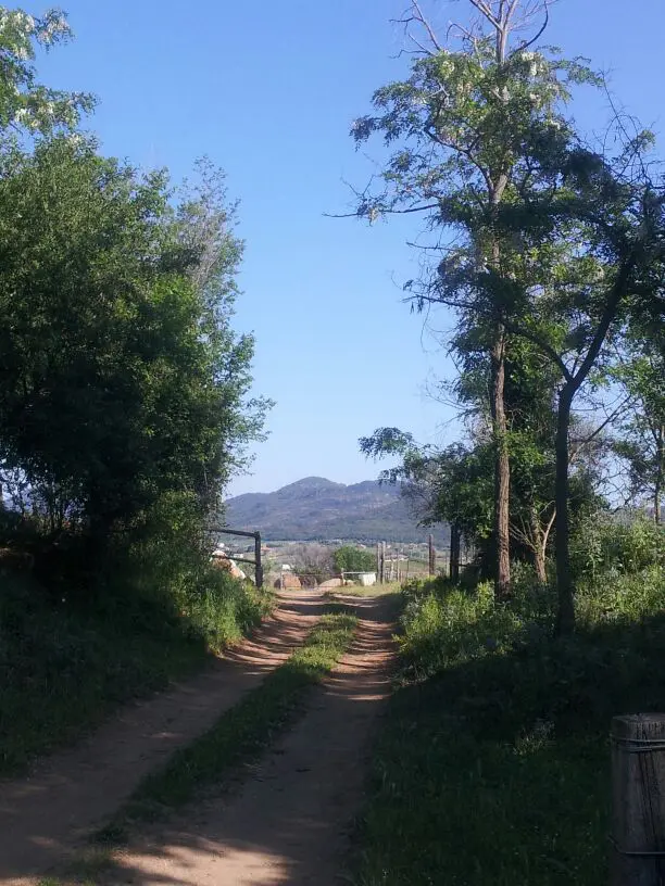 hardlopen-Etrusken (1)