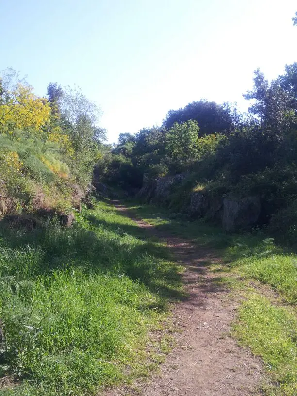 hardlopen-Etrusken (12)