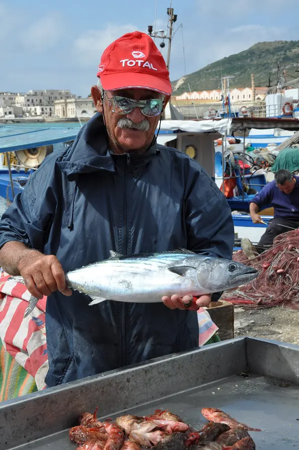 haven-Favignana-Sicilie (1)