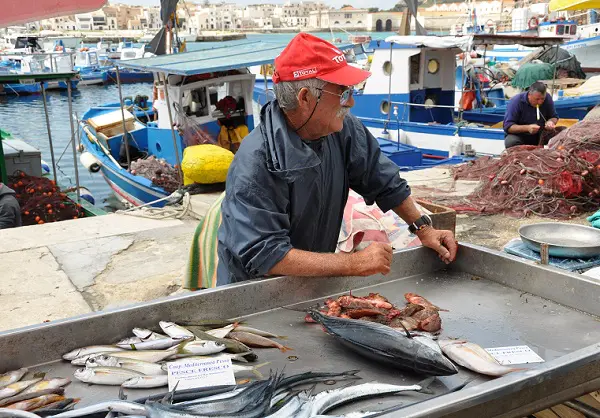 haven-Favignana-Sicilie (2)