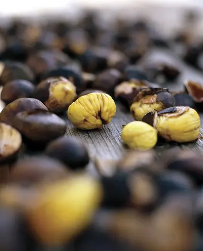 In autumn the wine cellars and inns open their gates for "Törggelen", the traditional chestnut gatherings after the harvest.