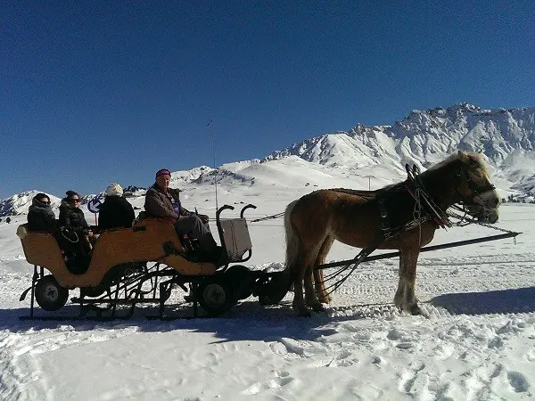 paardenslee-Dolomieten-Zuid-Tirol