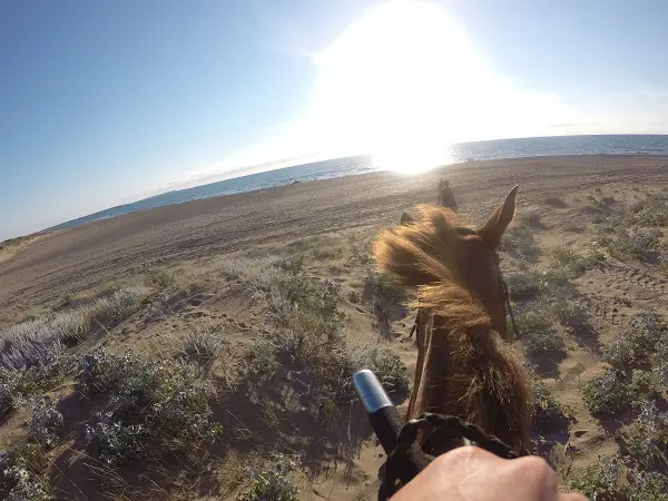 DCIM100GOPRO