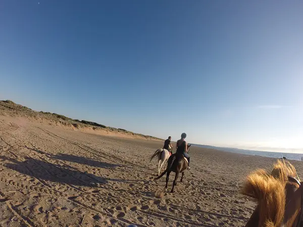 DCIM100GOPRO