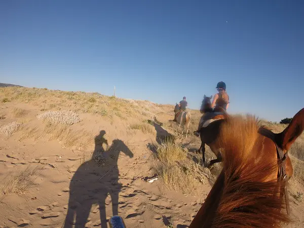 DCIM100GOPRO