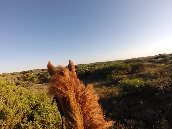 DCIM100GOPRO