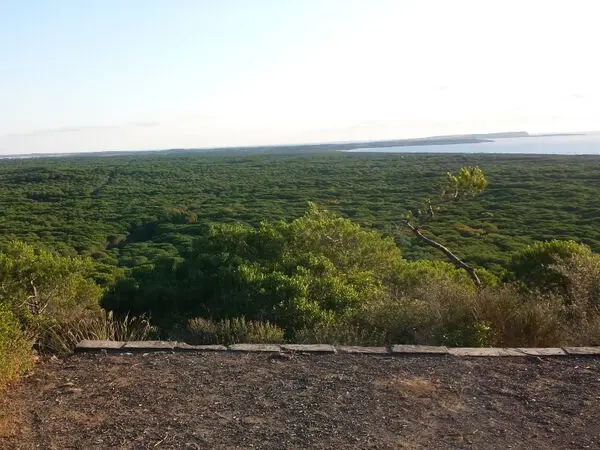 paardrijden-Sardinie (6)