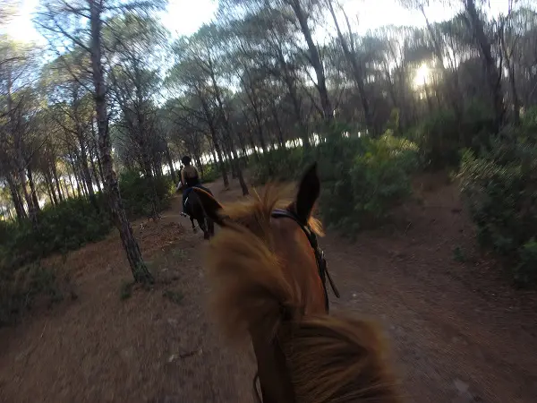 DCIM100GOPRO