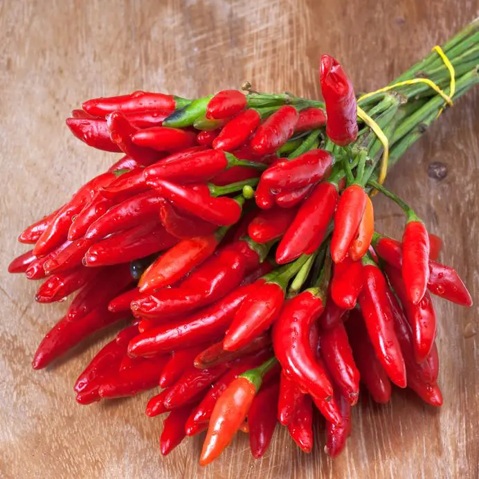 peperoncino