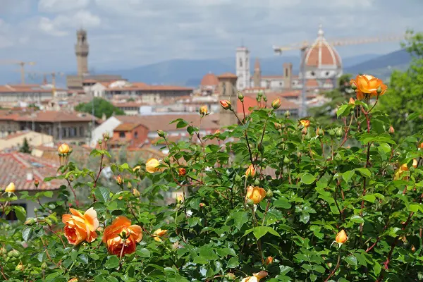 rozentuin-Florence
