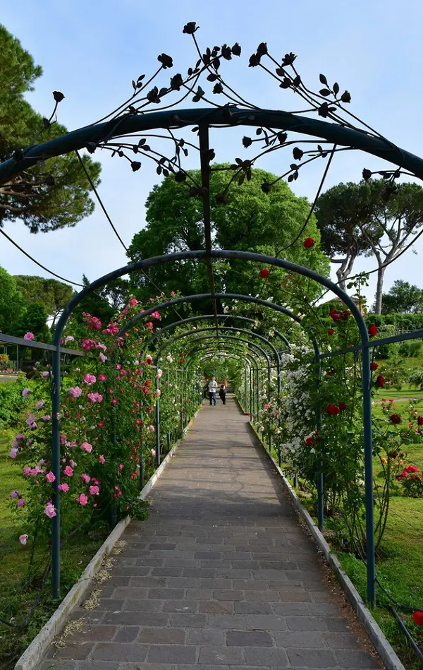 rozentuin-Roseto-Comunale-Aventijn-Rome (7)