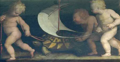schildpad10