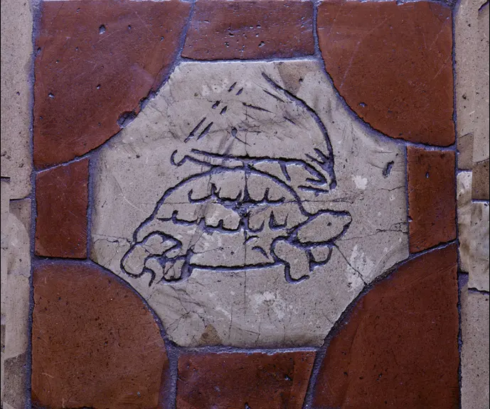 schildpad6
