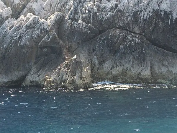 varen-Capri-boottocht-zeemeeuw