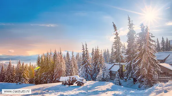 wallpapers-winter (4)
