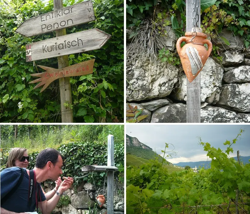 wine-teaching-trail-Zuid-Tirol