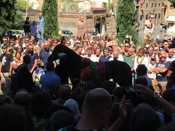 zegening-paard-Drago-Palio-Siena (11)