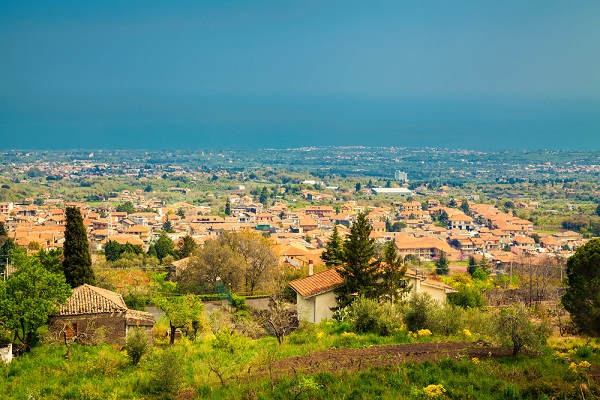 zafferano-etnea-etna-sicilie-3