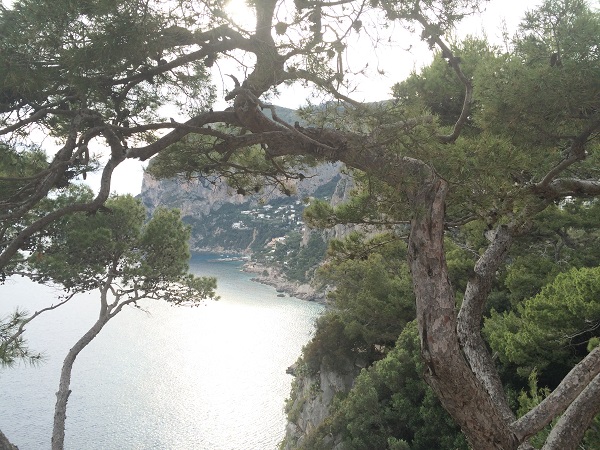 Capri-Via-Tragara-wandelen (15)