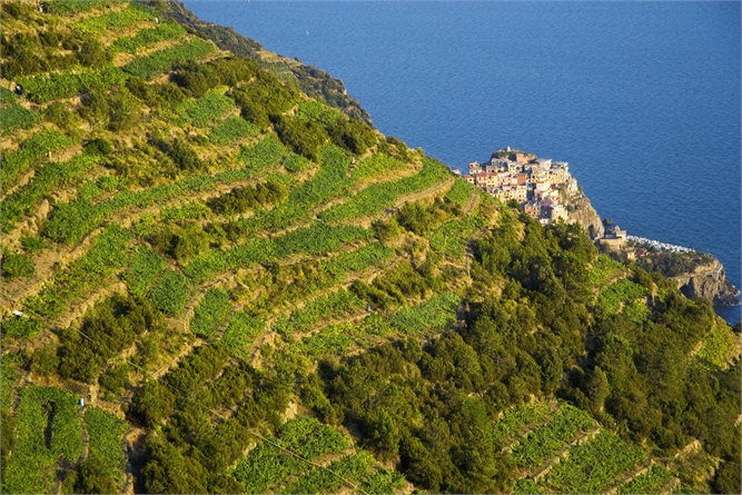 Cinque-Terre (2)