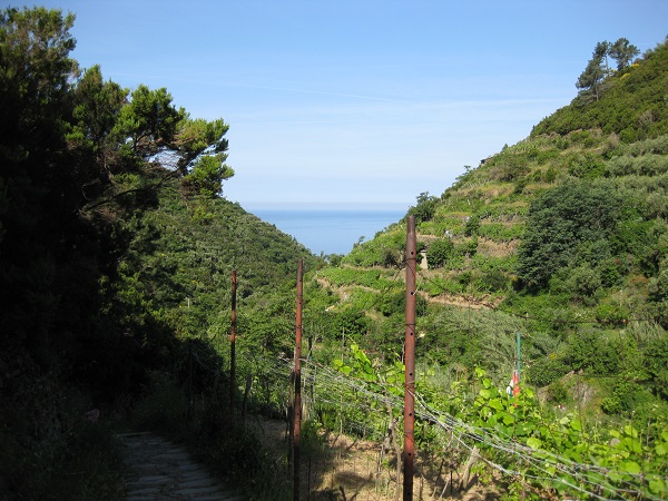 Cinque-Terre-Santuario (2)