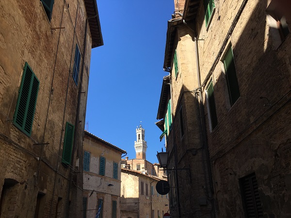 Contrada-Onda-Siena (7)