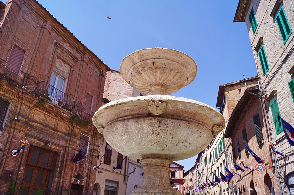 Contrada-del-Nicchio-Siena (12)