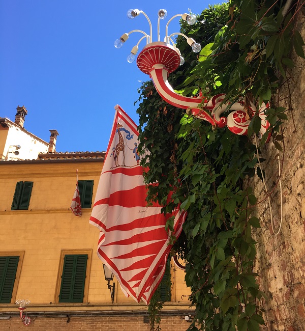 Contrada-della-Giraffa-Siena (3)