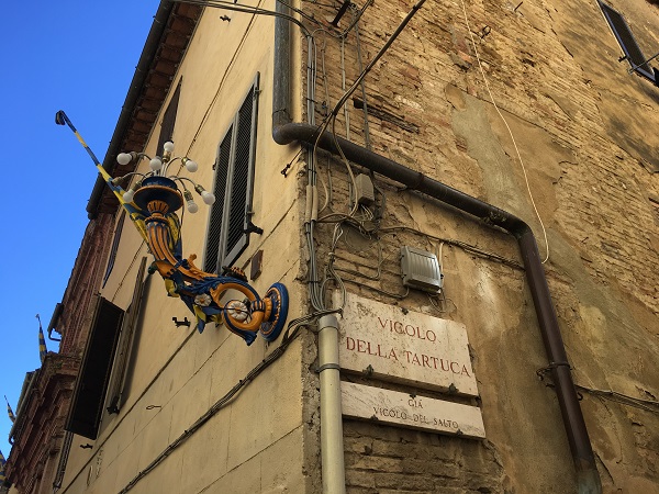 Contrada-della-Tartuca-Siena (28)