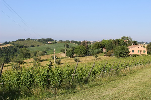 Le-Marche-Corinaldo (4)