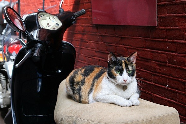 10x viva la Vespa! – Ciao tutti – ontdekkingsblog door Italië