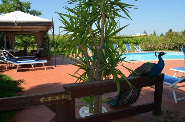 agriturusmo-Emilia-Romagna-Italian-Residence (3)