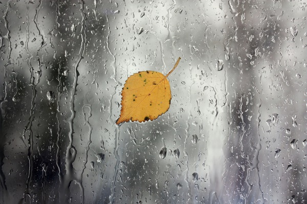 ballata-autunno-Mina