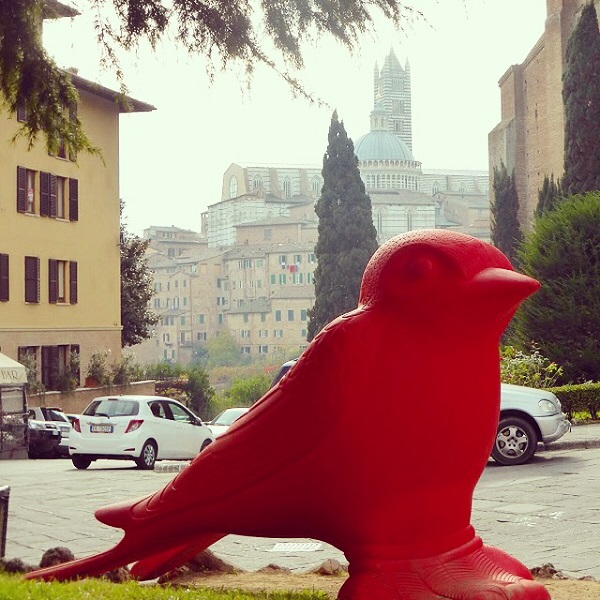 cracking-art-Siena (1a)