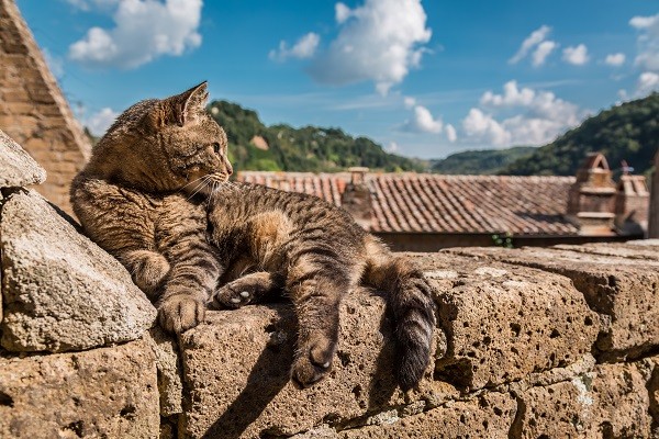 kat-zon-agriturismo-Italie