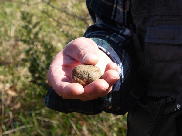 truffels-zoeken-San-Miniato-Toscane (11)