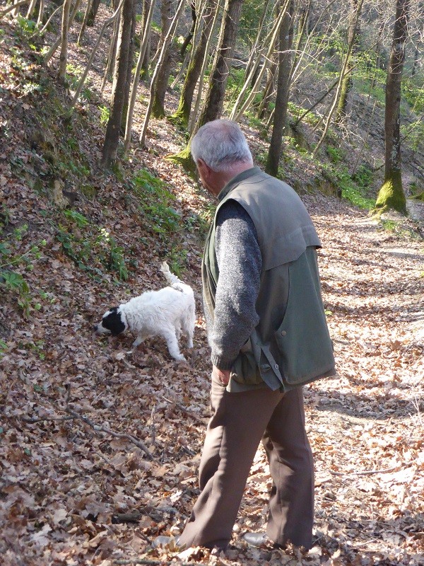 truffels-zoeken-San-Miniato-Toscane (12)